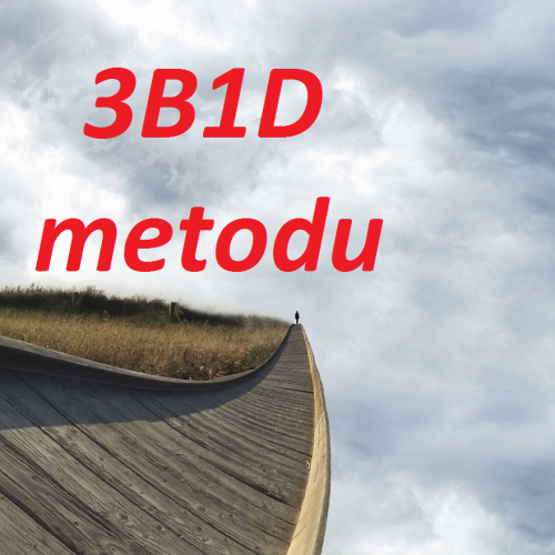 3B1D metodu