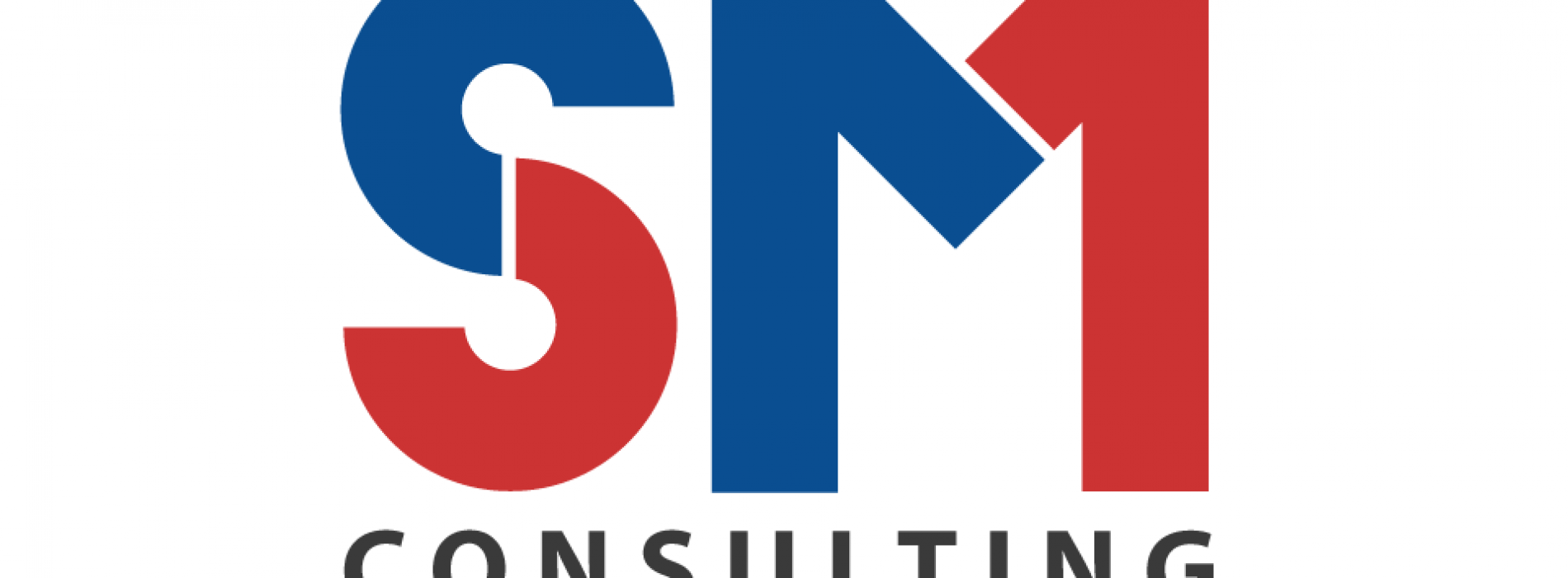 SM Consulting üçün sloqan